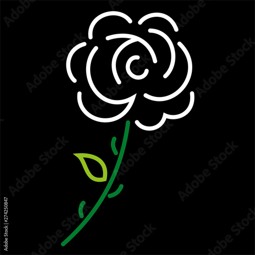 White_rose