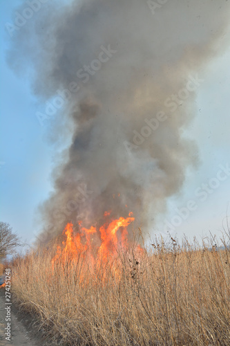 Flame of brushfire 33