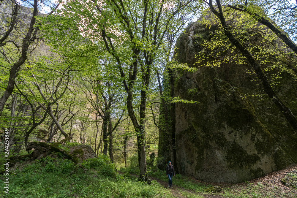 Fototapeta premium Tourist walks in the canyon of Birtvisi