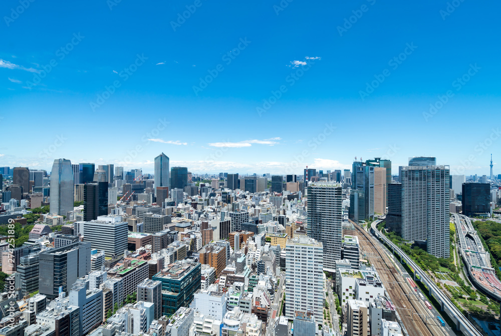 Naklejka premium 東京風景