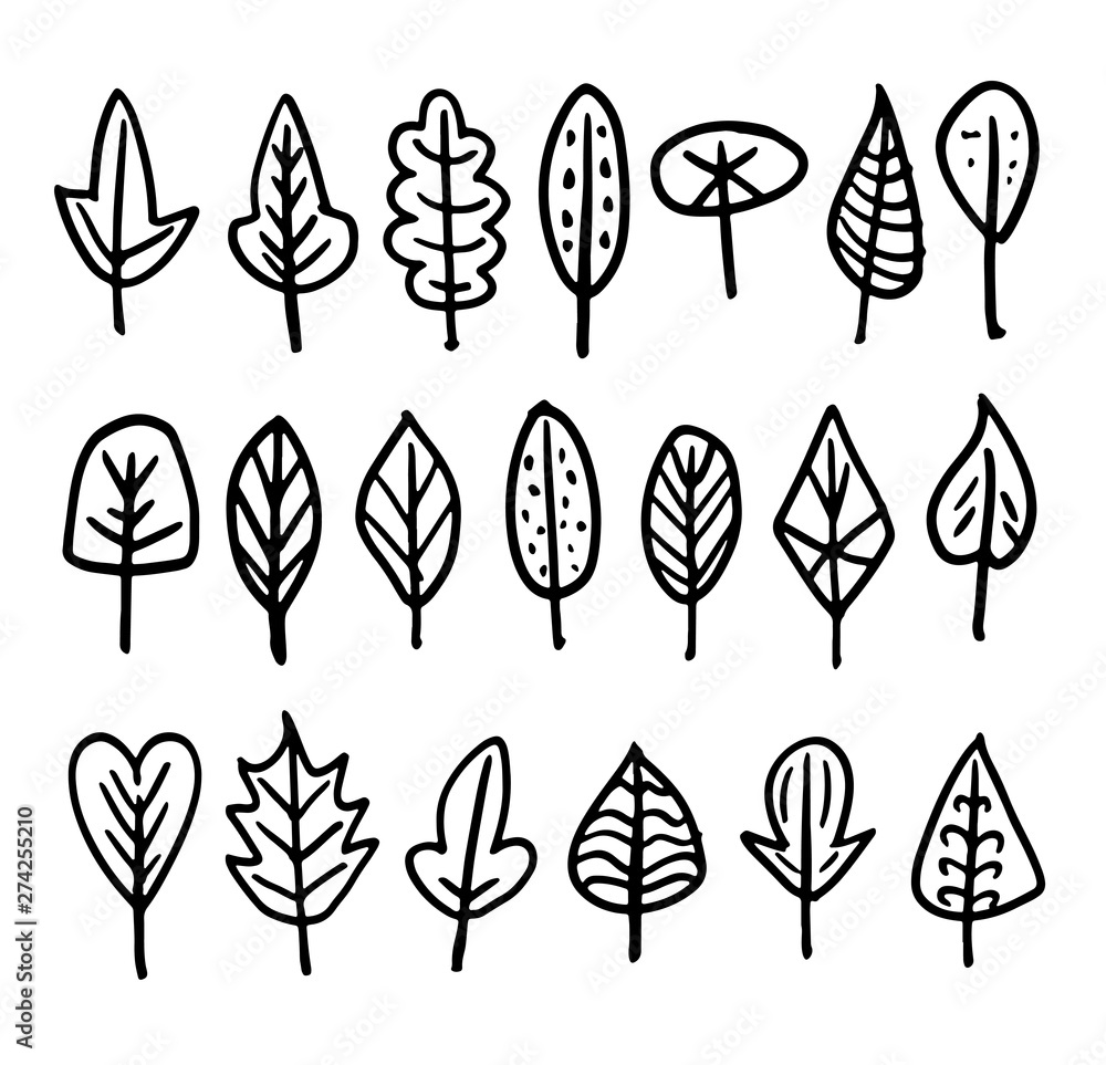 Set of different leaves Set of different leaves