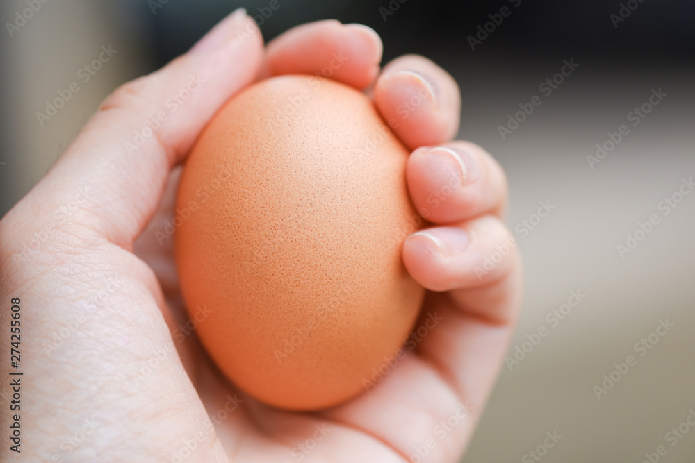 Woman hand holding egg on blurred background. Woman hand holding egg on blurred background.