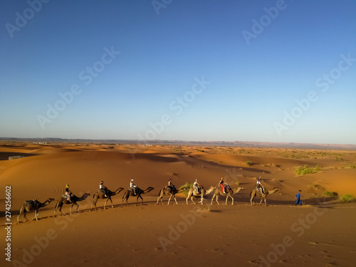 Camel caravan going through the sand dunes in the Sahara Desert, Morocco