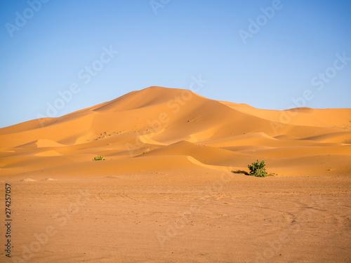 Sahara Desert  Erg Chebi dunes. Merzouga  Morocco