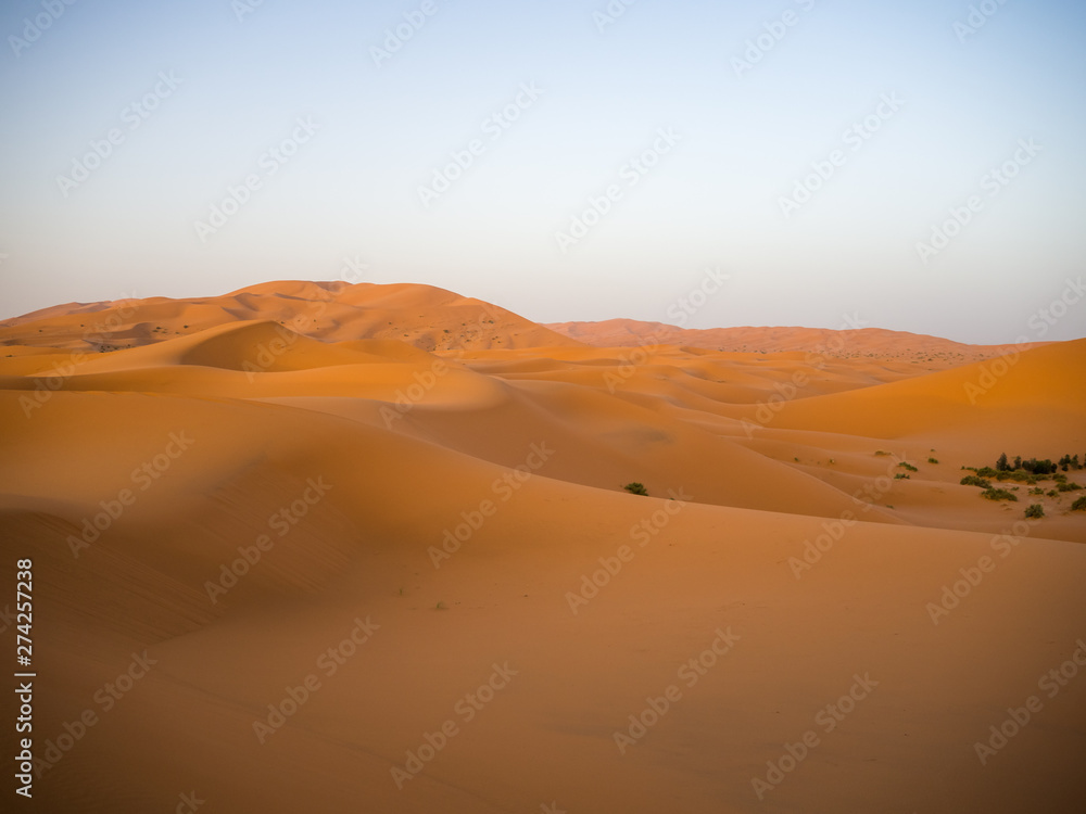 Fototapeta premium Sahara Desert, Erg Chebi dunes. Merzouga, Morocco