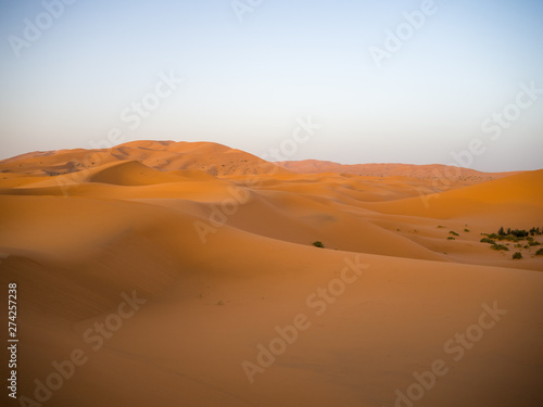 Sahara Desert  Erg Chebi dunes. Merzouga  Morocco