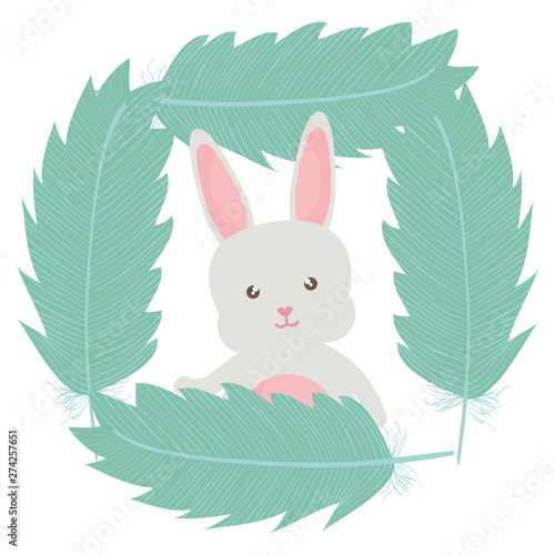 cute little rabbit with feathers frame