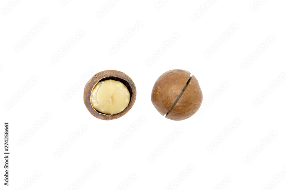 Macadamia nut isolated on white background. Macadamia nut isolated on white background.
