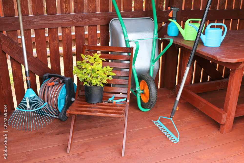 Decorative shrub along with garden equipment and tools in a wooden shed.