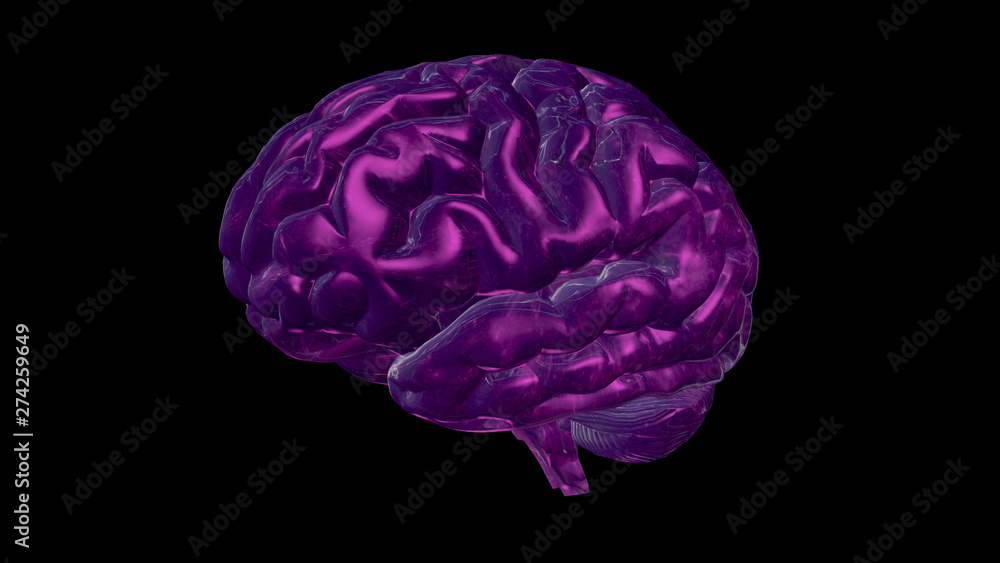 3D rendering of computer model of human brain and artificial intelligence concept 3D rendering of computer model of human brain and artificial intelligence concept