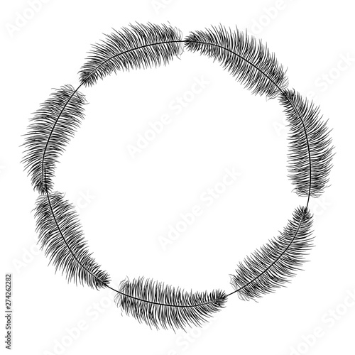 circular bohemian frame with feathers