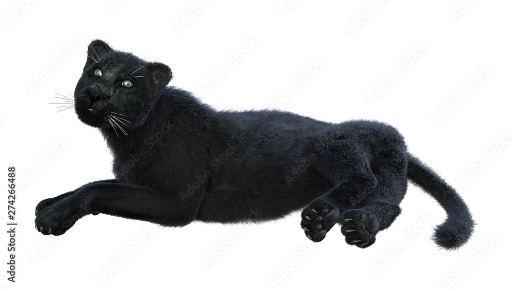 3D Rendering Black Panther on White 3D Rendering Black Panther on White