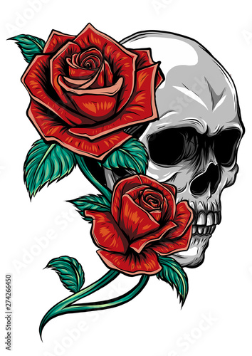 A human skulls with roses on white background