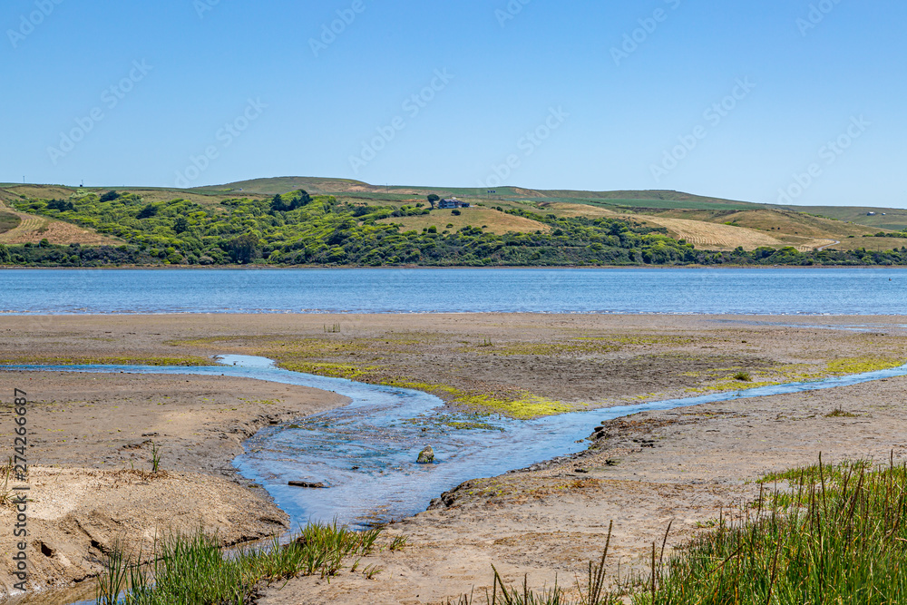 Looking out over Tomales Bay near Point Reyes in California, on a sunny summers day