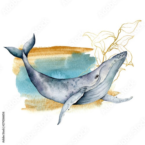 Watercolor card with blue whale and line art laminaria. Hand painted underwater composition isolated on white background. Wildlife illustrationor for design, fabric prints or background.