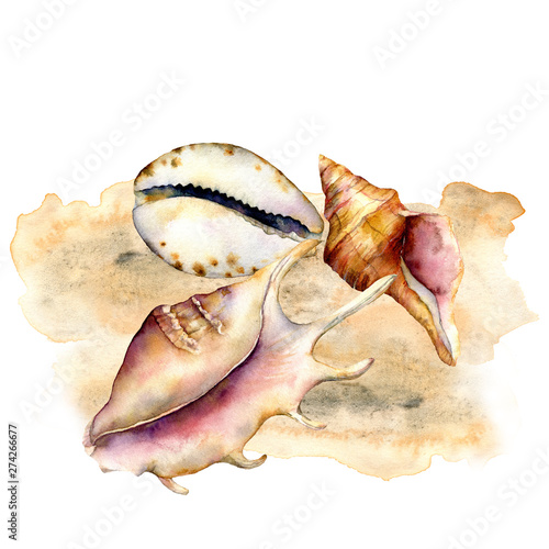 Watercolor shells composition on the sand. Hand painted underwater elements isolated on white background. Aquatic illustration for design, print or background. Trendy nautical collection.