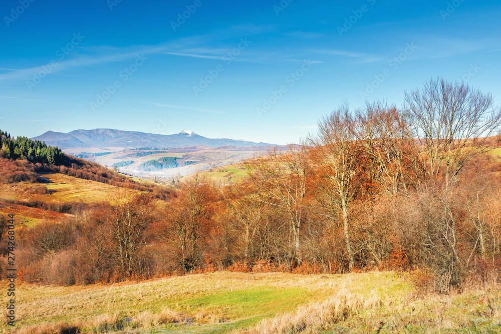 beautiful autumn countryside in mountain at noon. leafless trees on the edge of a rural field. sunny weather with clear blue sky. mountain with high snow capped peak in the distance beautiful autumn countryside in mountain at noon. leafless trees on the edge of a rural field. sunny weather with clear blue sky. mountain with high snow capped peak in the distance