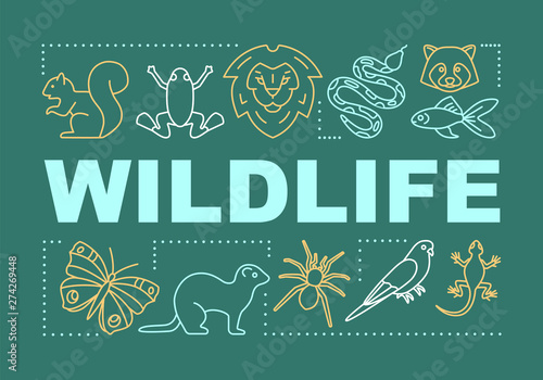 Wildlife word concepts banner