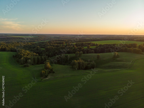 Top aerial view of green fi...