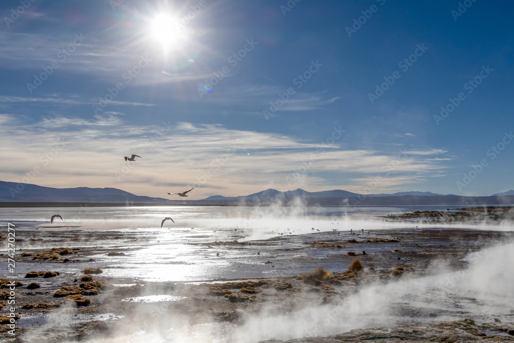 Φωτογραφία Aguas termales de Polques, hot springs with a pool of steaming natural thermal w