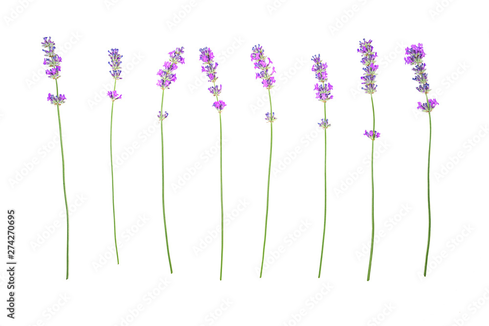 Naklejka Lavender flowers pattern isolated on white background. Flat lay, top view, copy space. Selective focus.