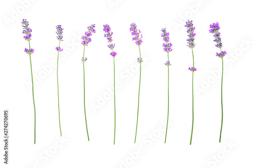 Fototapeta Naklejka Na Ścianę i Meble -  Lavender flowers pattern isolated on white background. Flat lay, top view, copy space. Selective focus.