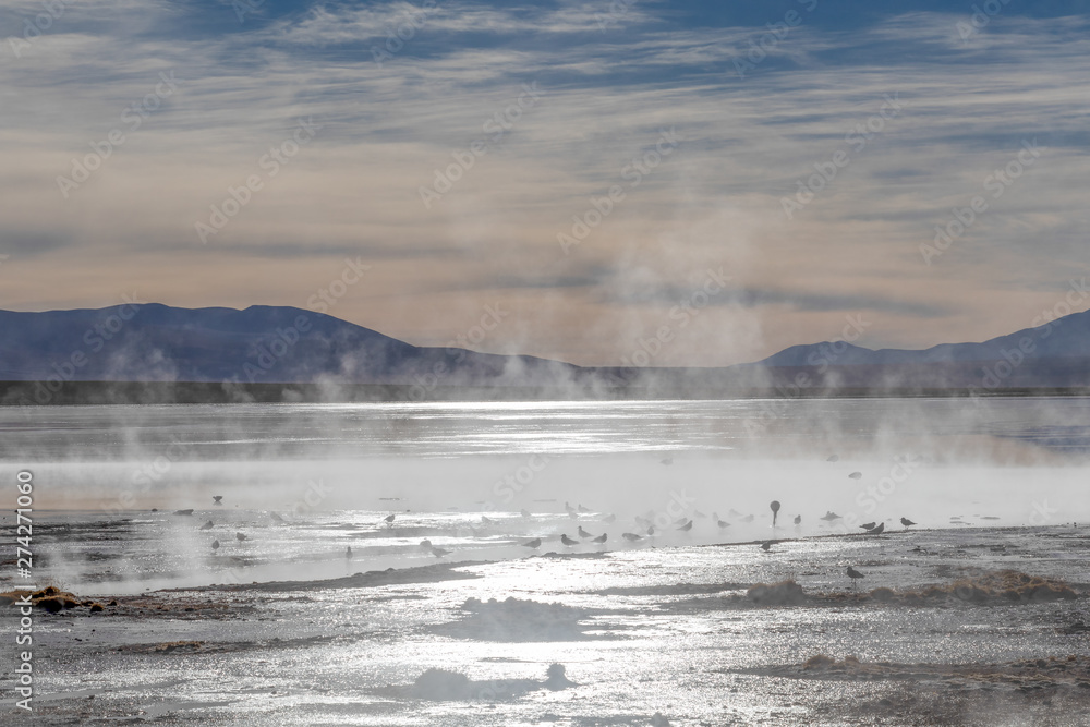 Aguas termales de Polques, hot springs with a pool of steaming natural thermal water in Bolivia Aguas termales de Polques, hot springs with a pool of steaming natural thermal water in Bolivia