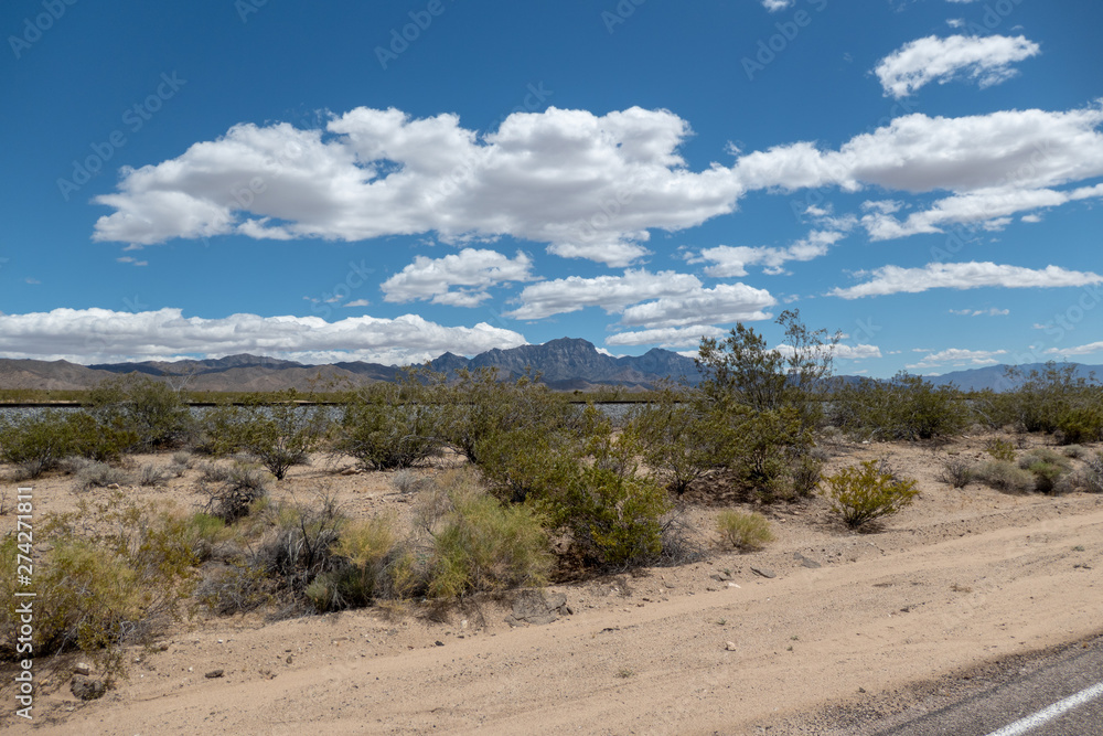 Desert Landscape Vista with Bushes
