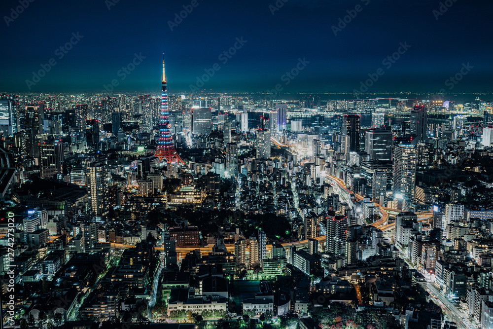 Fototapeta premium tokyo tower