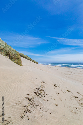 Fototapeta Naklejka Na Ścianę i Meble -  A sandy beach on the Oregon coast, on a sunny summers day
