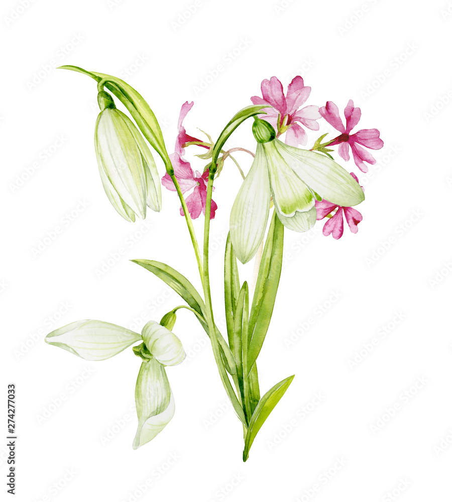 Bouquet of watercolor spring flowers of snowdrops with primrose. Hand-painted Botanical illustrations.