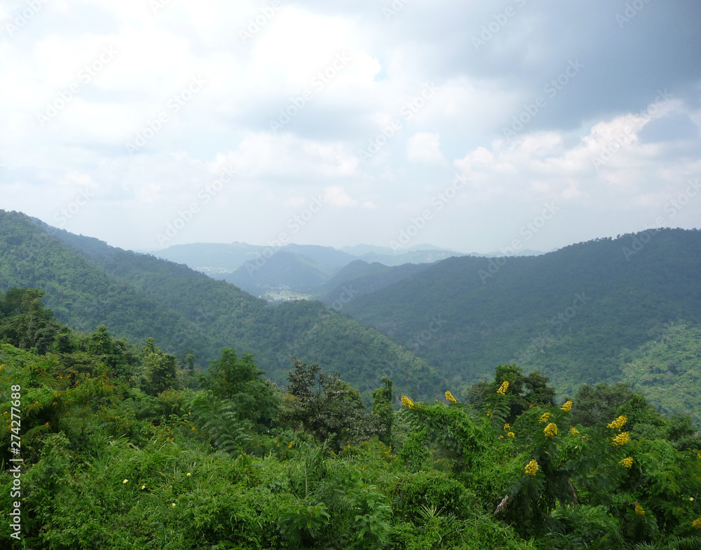 Vue panoramique Parc National Khao Yai (ThaÏlande)