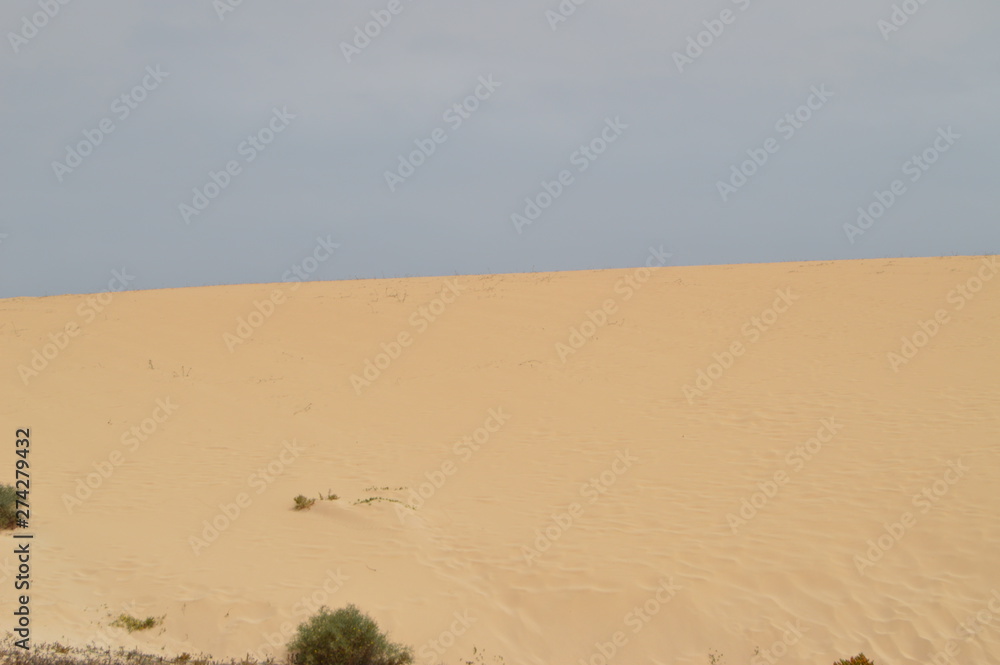 Beautiful Virgin Sand Desert In The Dunes In Corralejo. July 8, 2013. Corralejo Fuerteventura Canary Islands. Nature Vacation Beautiful Virgin Sand Desert In The Dunes In Corralejo. July 8, 2013. Corralejo Fuerteventura Canary Islands. Nature Vacation