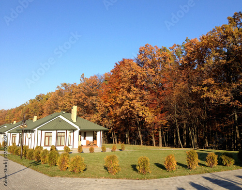  house on a background of golden autumn forest