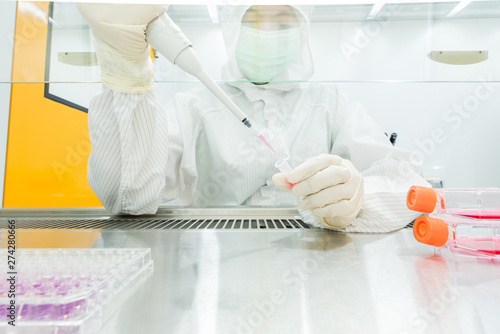 Fotografie A scientist in sterile coverall gown preparing growth medium and reagent for cell cuture assay in biological safety cabinet (BSC)