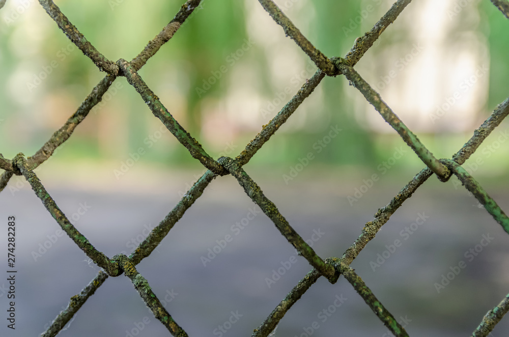 Old metal fence chain links on green background, metal mesh Old metal fence chain links on green background, metal mesh