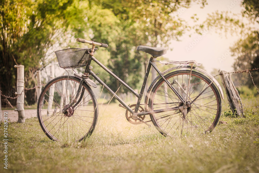 Bicycle in the field