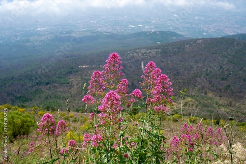 Neapel Vesuv Blick von oben photo