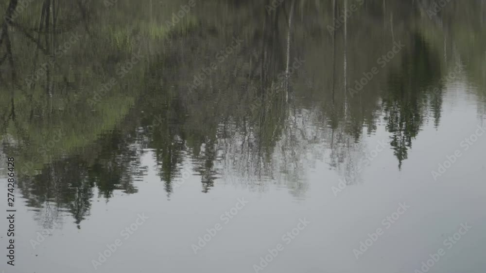 Reflection of trees in the rippling water of the lake Reflection of trees in the rippling water of the lake