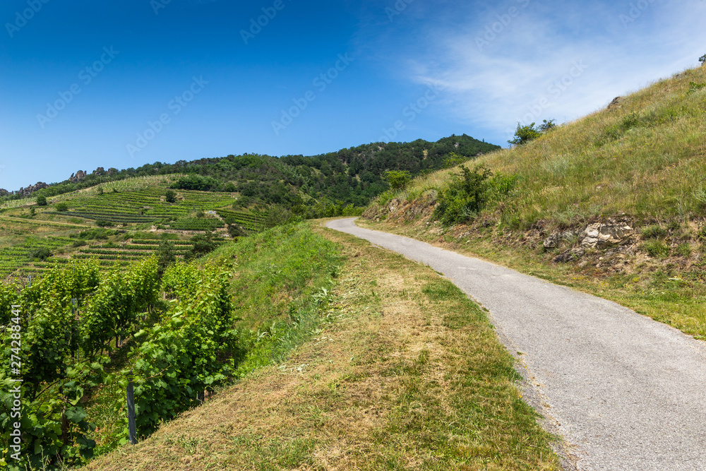 Landscape of Wachau valley, Danube river, Austria. Landscape of Wachau valley, Danube river, Austria.