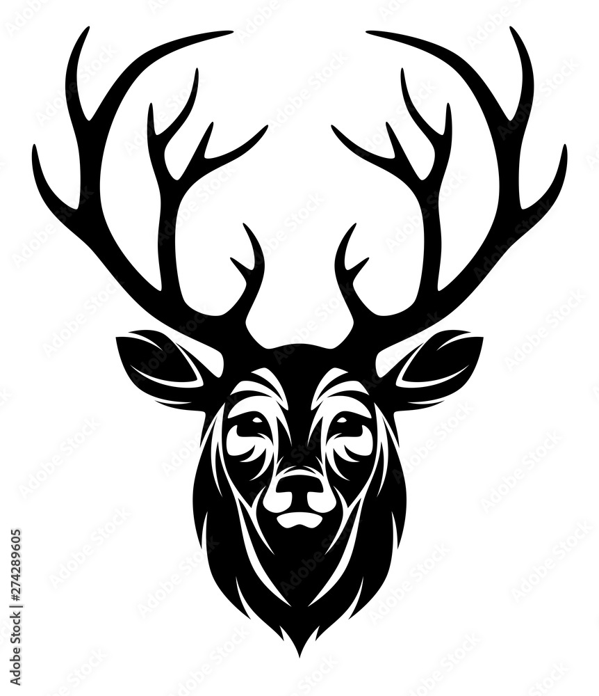 Fototapeta premium Deer head a white background