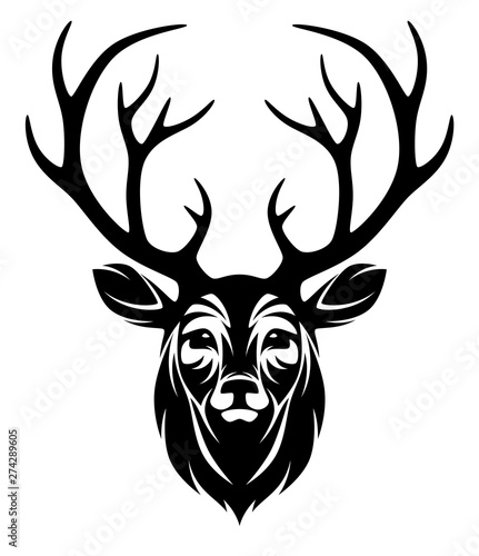 Deer head a white background