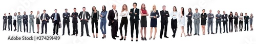 panoramic photo of a group of confident business people.