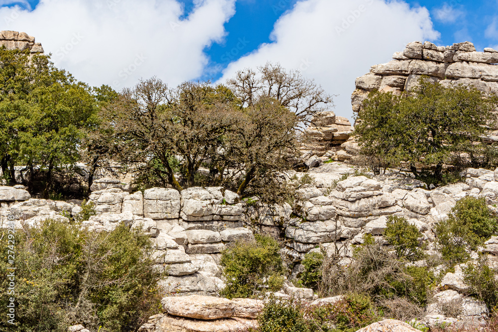 Natural Park of the Torcal of Antequera - 13