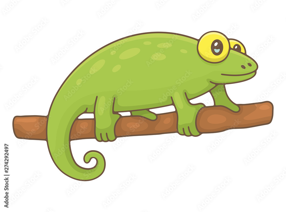 Fototapeta premium Chameleon. isolated on white background