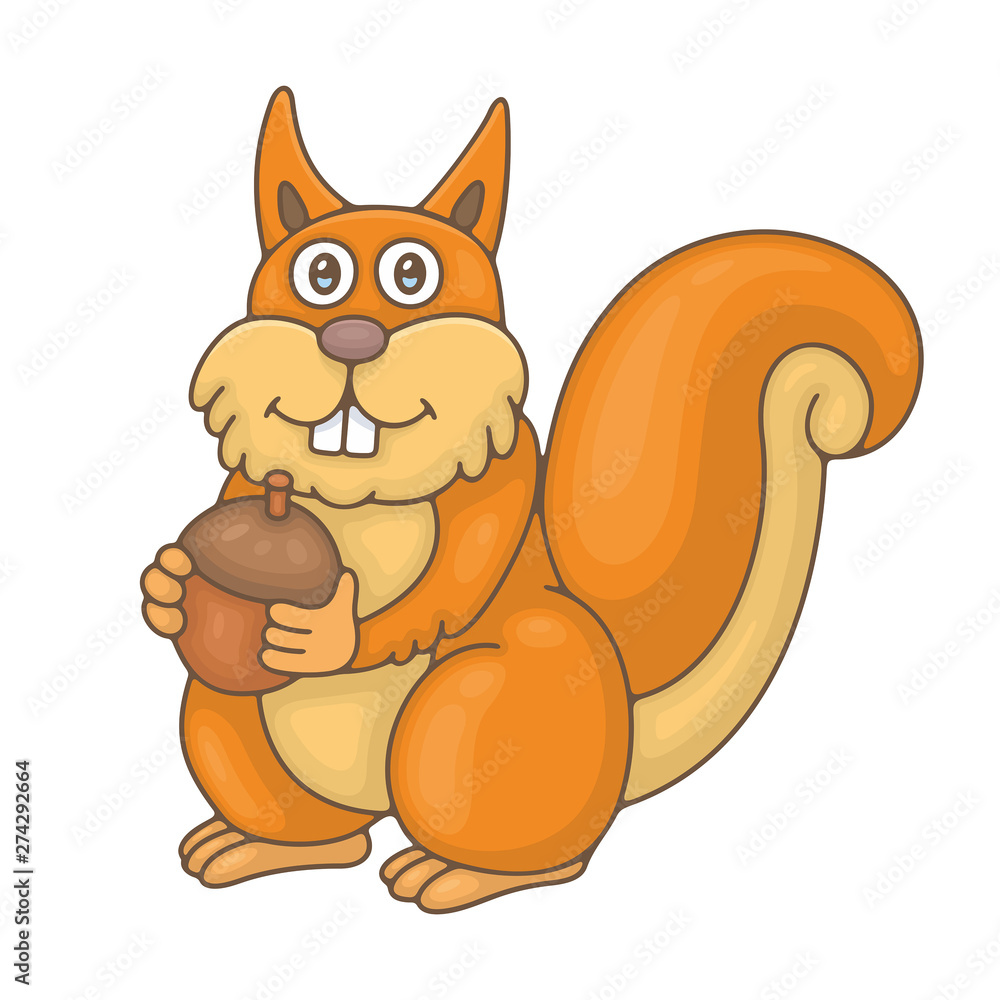 Fototapeta premium Squirrel. isolated on white background