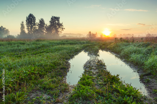 landscape with road