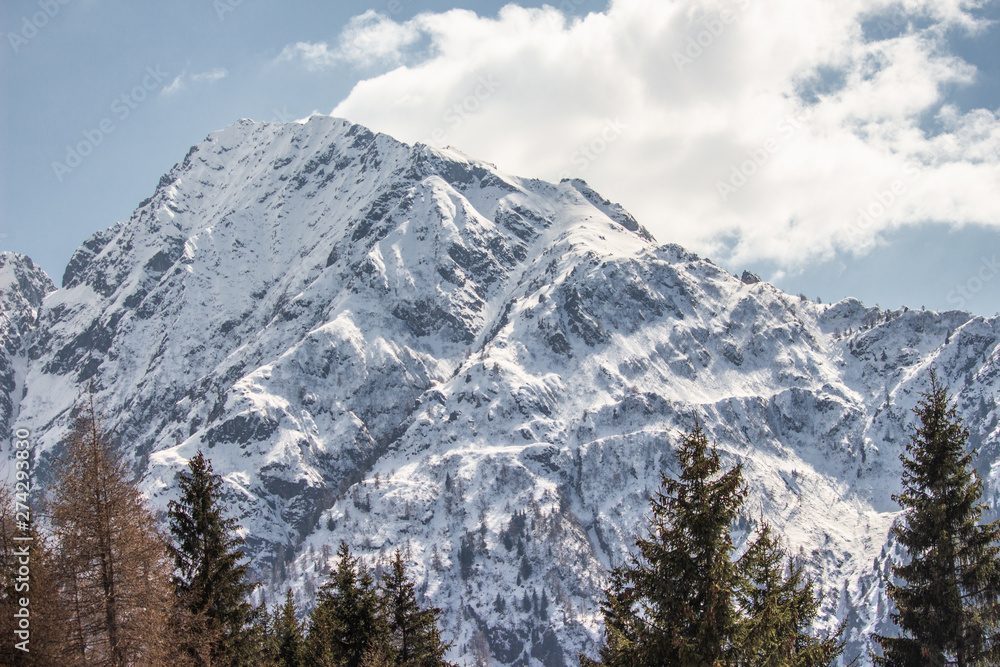 Alpine Scenery in Val Camonica