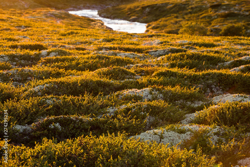 Rondane National Park, Norway: The river leading from the Rondvassbu lodge out of the park passing the parking in Spranget. photo