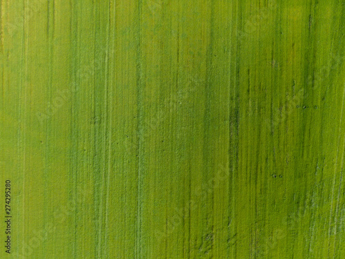 Top down aerial view of green field with vertical line texture